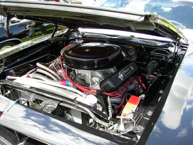 P1010250.JPG